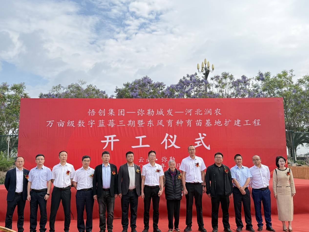 环亚集团官网