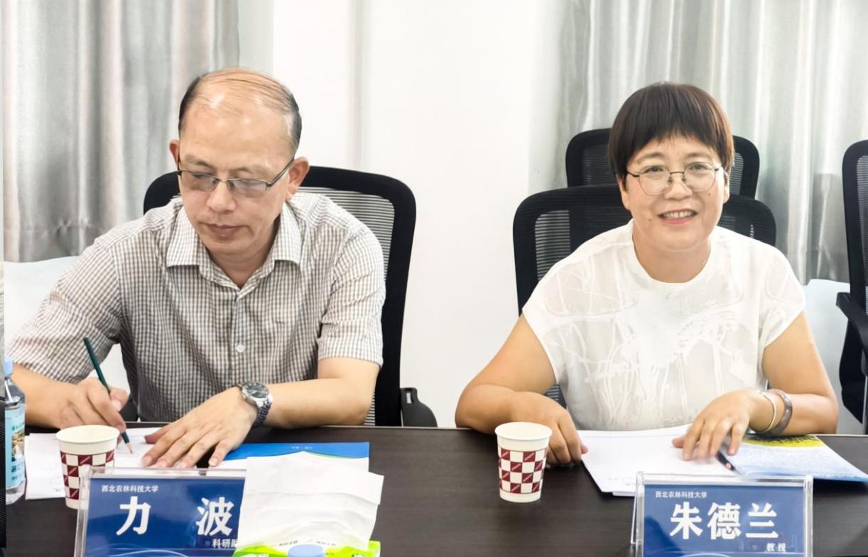 环亚集团官网