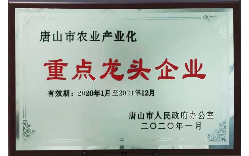 吐鲁番市农业产业化重点龙头企业
